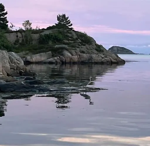 Villa Unik Med Fjordutsikt